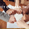 Viết CV và liên hệ công ty như thế nào khi xin việc